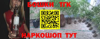 гашик Берёзовский