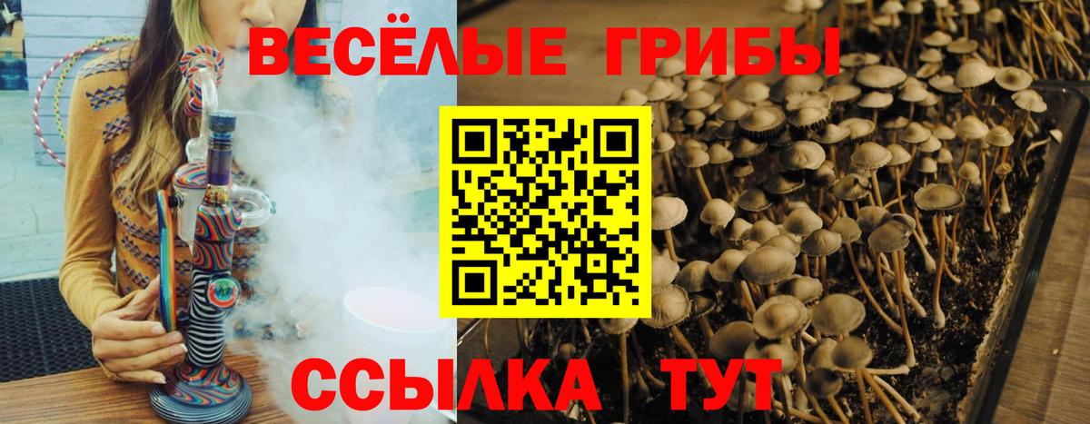 Псилоцибиновые грибы ЛСД Каменка